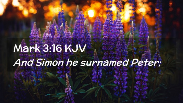 Picture 02 - Mark 3:16 KJV Desktop Wallpaper - And Simon he surnamed - Desktop Bible Verse Wallpaper