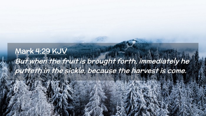 Picture 02 - Mark 4:29 KJV Desktop Wallpaper - But when the fruit is brought forth, immediately - Desktop Bible Verse Wallpaper