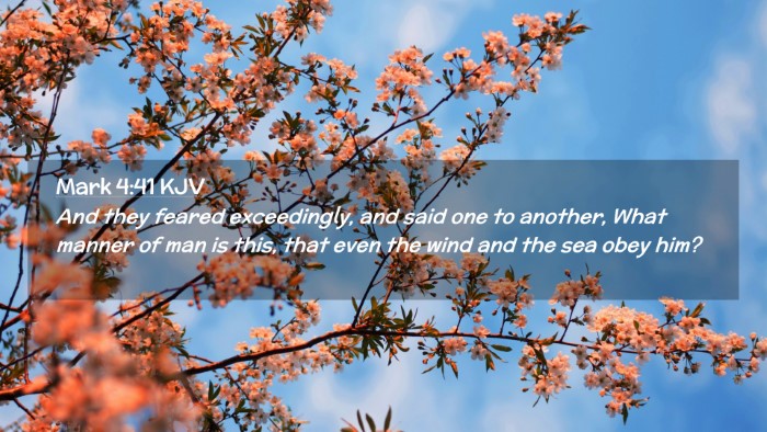 Picture 02 - Mark 4:41 KJV Desktop Wallpaper - And they feared exceedingly, and said one to - Desktop Bible Verse Wallpaper