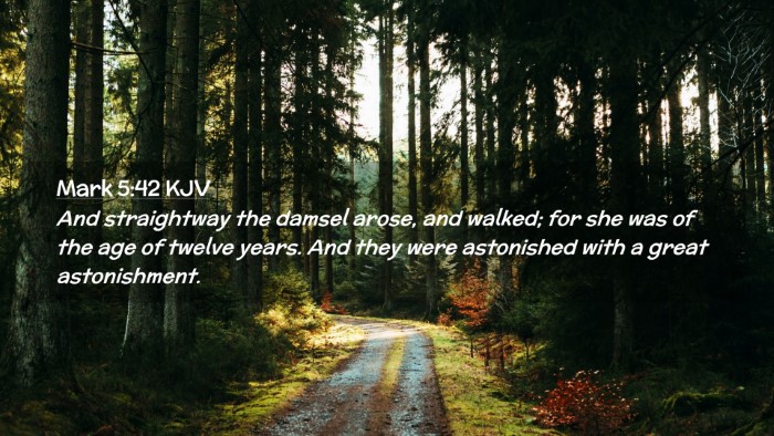 Picture 02 - Mark 5:42 KJV Desktop Wallpaper - And straightway the damsel arose, and walked; for - Desktop Bible Verse Wallpaper