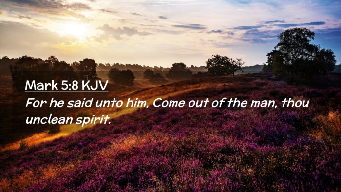 Picture 02 - Mark 5:8 KJV Desktop Wallpaper - For he said unto him, Come out of the man, thou - Desktop Bible Verse Wallpaper