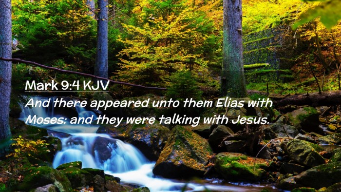 Picture 02 - Mark 9:4 KJV Desktop Wallpaper - And there appeared unto them Elias with Moses: - Desktop Bible Verse Wallpaper