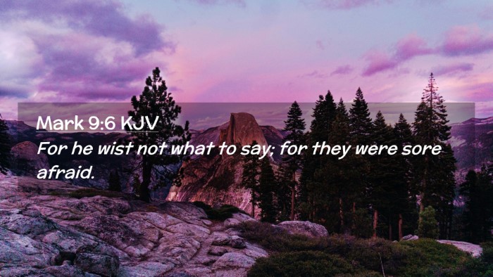 Picture 02 - Mark 9:6 KJV Desktop Wallpaper - For he wist not what to say; for they were sore - Desktop Bible Verse Wallpaper