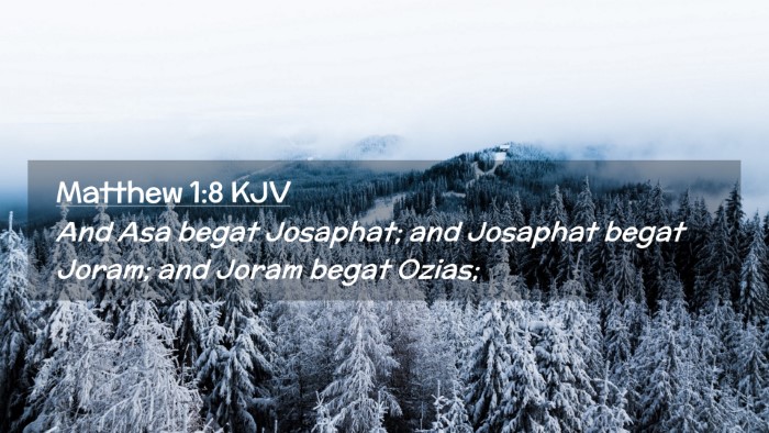 Picture 02 - Matthew 1:8 KJV Desktop Wallpaper - And Asa begat Josaphat; and Josaphat begat Joram; - Desktop Bible Verse Wallpaper