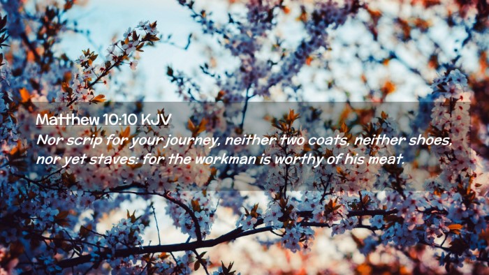 Picture 02 - Matthew 10:10 KJV Desktop Wallpaper - Nor scrip for your journey, neither two coats, - Desktop Bible Verse Wallpaper