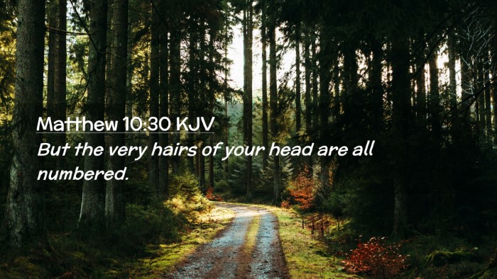 Picture 02 - Matthew 10:30 KJV Desktop Wallpaper - But the very hairs of your head are all - Desktop Bible Verse Wallpaper