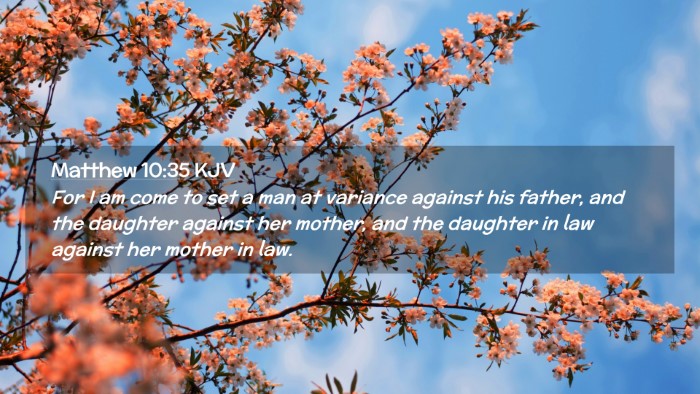 Picture 02 - Matthew 10:35 KJV Desktop Wallpaper - For I am come to set a man at variance against - Desktop Bible Verse Wallpaper
