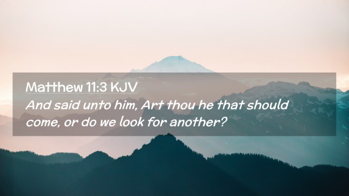 Picture 02 - Matthew 11:3 KJV Desktop Wallpaper - And said unto him, Art thou he that should come, - Desktop Bible Verse Wallpaper