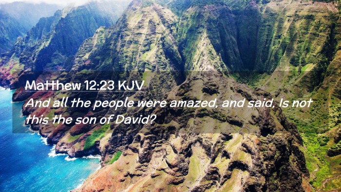 Picture 02 - Matthew 12:23 KJV Desktop Wallpaper - And all the people were amazed, and said, Is not - Desktop Bible Verse Wallpaper