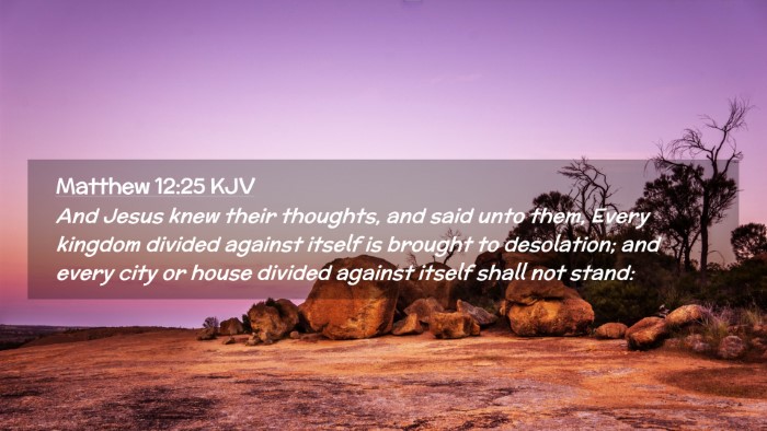 Picture 02 - Matthew 12:25 KJV Desktop Wallpaper - And Jesus knew their thoughts, and said unto - Desktop Bible Verse Wallpaper
