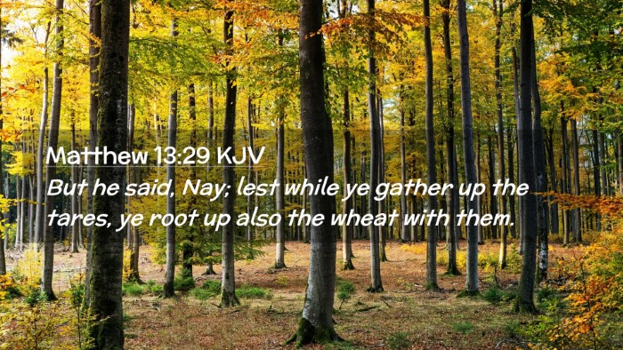 Picture 02 - Matthew 13:29 KJV Desktop Wallpaper - But he said, Nay; lest while ye gather up the - Desktop Bible Verse Wallpaper