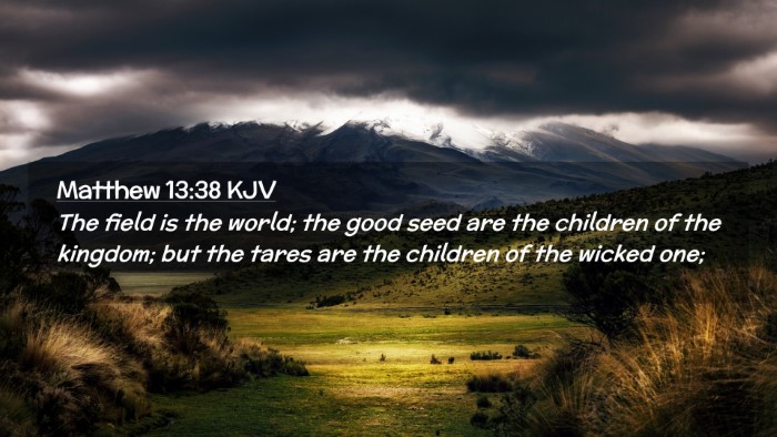 Picture 02 - Matthew 13:38 KJV Desktop Wallpaper - The field is the world; the good seed are the - Desktop Bible Verse Wallpaper