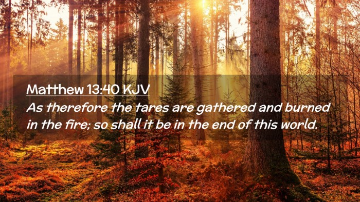 Picture 02 - Matthew 13:40 KJV Desktop Wallpaper - As therefore the tares are gathered and burned in - Desktop Bible Verse Wallpaper