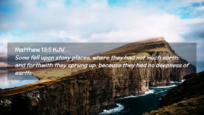 Picture 02 - Matthew 13:5 KJV Desktop Wallpaper - Some fell upon stony places, where they had not - Desktop Bible Verse Wallpaper