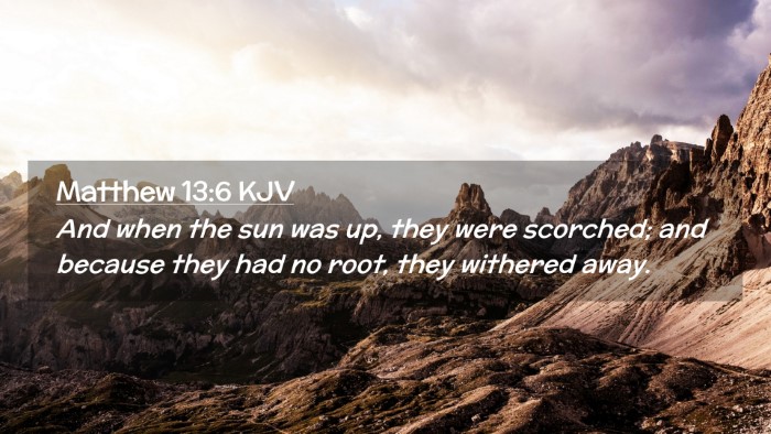 Picture 02 - Matthew 13:6 KJV Desktop Wallpaper - And when the sun was up, they were scorched; and - Desktop Bible Verse Wallpaper