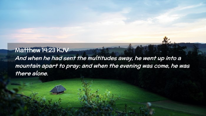 Picture 02 - Matthew 14:23 KJV Desktop Wallpaper - And when he had sent the multitudes away, he went - Desktop Bible Verse Wallpaper