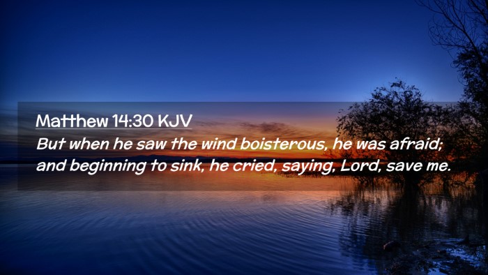 Picture 02 - Matthew 14:30 KJV Desktop Wallpaper - But when he saw the wind boisterous, he was - Desktop Bible Verse Wallpaper