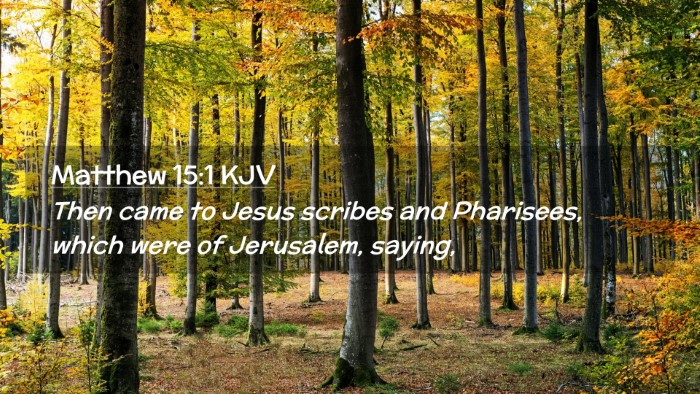 Picture 02 - Matthew 15:1 KJV Desktop Wallpaper - Then came to Jesus scribes and Pharisees, which - Desktop Bible Verse Wallpaper