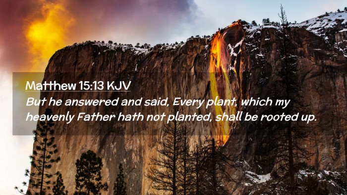 Picture 02 - Matthew 15:13 KJV Desktop Wallpaper - But he answered and said, Every plant, which my - Desktop Bible Verse Wallpaper