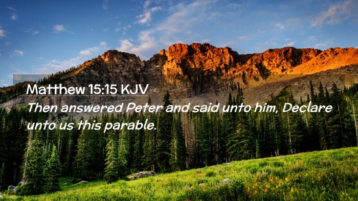 Picture 02 - Matthew 15:15 KJV Desktop Wallpaper - Then answered Peter and said unto him, Declare - Desktop Bible Verse Wallpaper