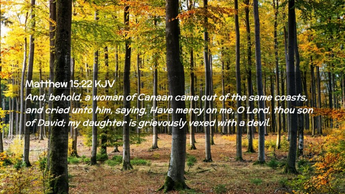Picture 02 - Matthew 15:22 KJV Desktop Wallpaper - And, behold, a woman of Canaan came out of the - Desktop Bible Verse Wallpaper