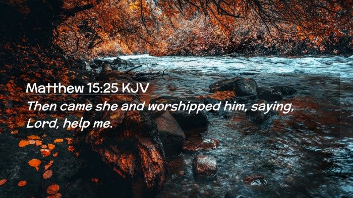 Picture 02 - Matthew 15:25 KJV Desktop Wallpaper - Then came she and worshipped him, saying, Lord, - Desktop Bible Verse Wallpaper