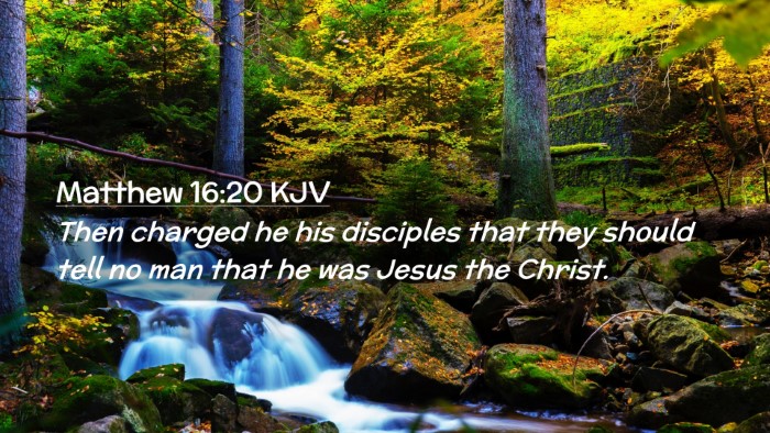 Picture 02 - Matthew 16:20 KJV Desktop Wallpaper - Then charged he his disciples that they should - Desktop Bible Verse Wallpaper