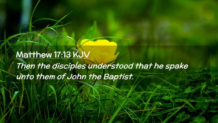 Picture 02 - Matthew 17:13 KJV Desktop Wallpaper - Then the disciples understood that he spake unto - Desktop Bible Verse Wallpaper