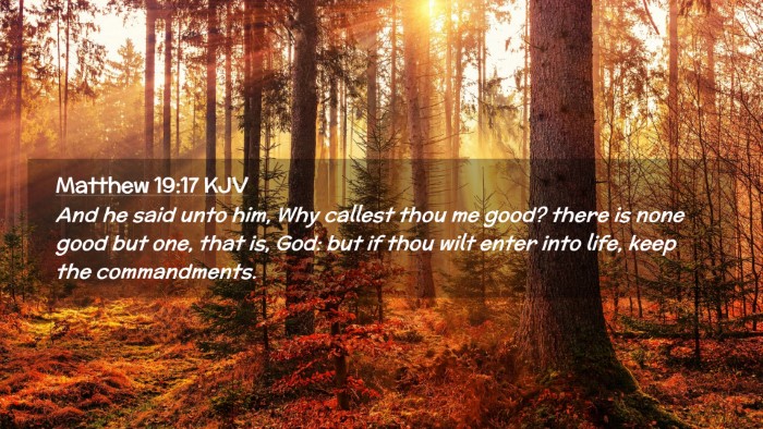 Picture 02 - Matthew 19:17 KJV Desktop Wallpaper - And he said unto him, Why callest thou me good? - Desktop Bible Verse Wallpaper