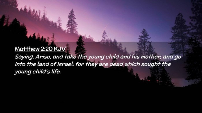 Picture 02 - Matthew 2:20 KJV Desktop Wallpaper - Saying, Arise, and take the young child and his - Desktop Bible Verse Wallpaper