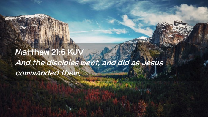 Picture 02 - Matthew 21:6 KJV Desktop Wallpaper - And the disciples went, and did as Jesus - Desktop Bible Verse Wallpaper