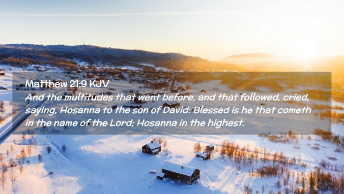 Picture 02 - Matthew 21:9 KJV Desktop Wallpaper - And the multitudes that went before, and that - Desktop Bible Verse Wallpaper