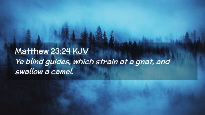 Picture 02 - Matthew 23:24 KJV Desktop Wallpaper - Ye blind guides, which strain at a gnat, and - Desktop Bible Verse Wallpaper
