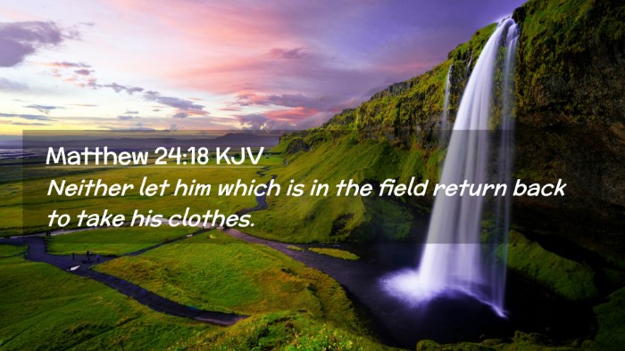 Picture 02 - Matthew 24:18 KJV Desktop Wallpaper - Neither let him which is in the field return back - Desktop Bible Verse Wallpaper