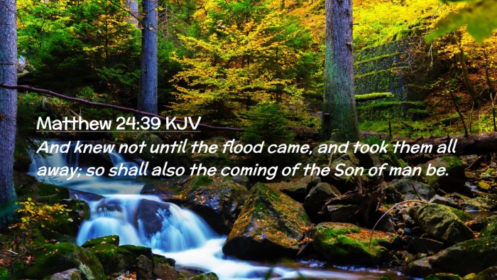Picture 02 - Matthew 24:39 KJV Desktop Wallpaper - And knew not until the flood came, and took them - Desktop Bible Verse Wallpaper