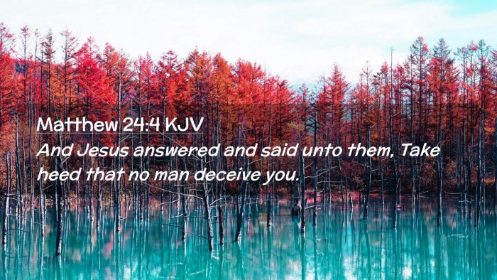 Picture 02 - Matthew 24:4 KJV Desktop Wallpaper - And Jesus answered and said unto them, Take heed - Desktop Bible Verse Wallpaper