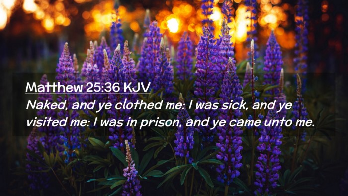 Picture 02 - Matthew 25:36 KJV Desktop Wallpaper - Naked, and ye clothed me: I was sick, and ye - Desktop Bible Verse Wallpaper