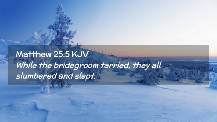 Picture 02 - Matthew 25:5 KJV Desktop Wallpaper - While the bridegroom tarried, they all slumbered - Desktop Bible Verse Wallpaper