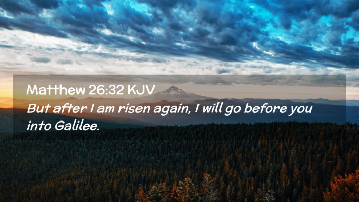 Picture 02 - Matthew 26:32 KJV Desktop Wallpaper - But after I am risen again, I will go before you - Desktop Bible Verse Wallpaper