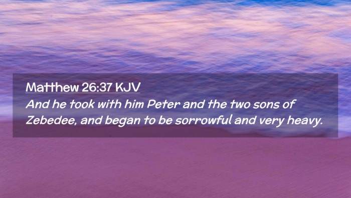 Picture 02 - Matthew 26:37 KJV Desktop Wallpaper - And he took with him Peter and the two sons of - Desktop Bible Verse Wallpaper