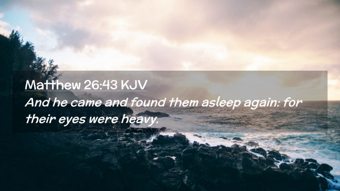 Picture 02 - Matthew 26:43 KJV Desktop Wallpaper - And he came and found them asleep again: for - Desktop Bible Verse Wallpaper