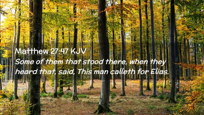 Picture 02 - Matthew 27:47 KJV Desktop Wallpaper - Some of them that stood there, when they heard - Desktop Bible Verse Wallpaper