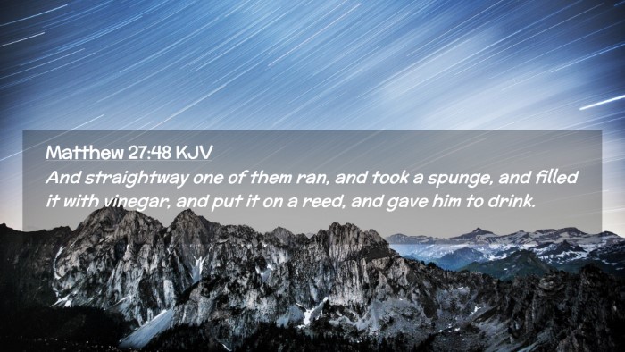 Picture 02 - Matthew 27:48 KJV Desktop Wallpaper - And straightway one of them ran, and took a - Desktop Bible Verse Wallpaper