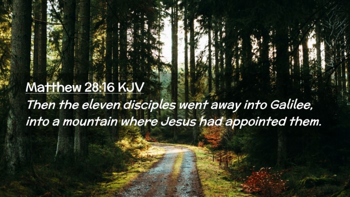 Picture 02 - Matthew 28:16 KJV Desktop Wallpaper - Then the eleven disciples went away into Galilee, - Desktop Bible Verse Wallpaper