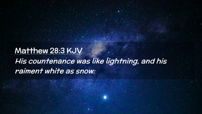 Picture 02 - Matthew 28:3 KJV Desktop Wallpaper - His countenance was like lightning, and his - Desktop Bible Verse Wallpaper