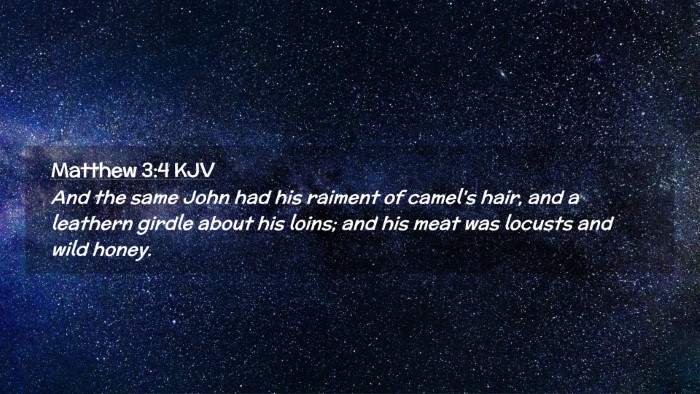 Picture 02 - Matthew 3:4 KJV Desktop Wallpaper - And the same John had his raiment of camel's - Desktop Bible Verse Wallpaper