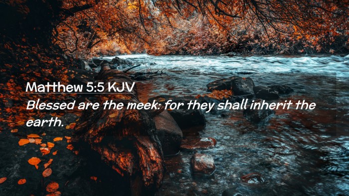 Picture 02 - Matthew 5:5 KJV Desktop Wallpaper - Blessed are the meek: for they shall inherit the - Desktop Bible Verse Wallpaper