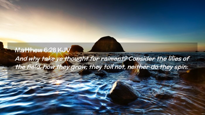 Picture 02 - Matthew 6:28 KJV Desktop Wallpaper - And why take ye thought for raiment? Consider the - Desktop Bible Verse Wallpaper