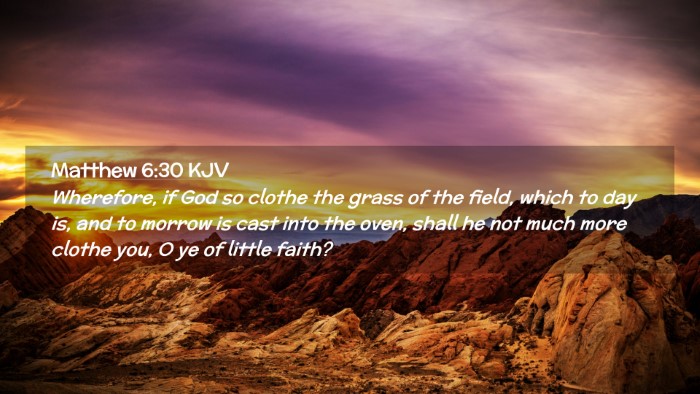 Picture 02 - Matthew 6:30 KJV Desktop Wallpaper - Wherefore, if God so clothe the grass of the - Desktop Bible Verse Wallpaper