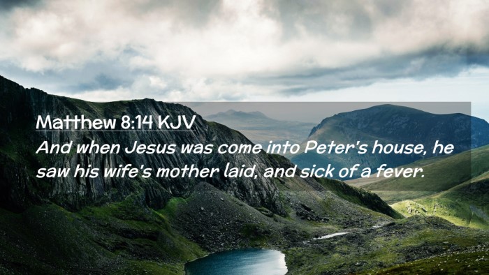 Picture 02 - Matthew 8:14 KJV Desktop Wallpaper - And when Jesus was come into Peter's house, he - Desktop Bible Verse Wallpaper